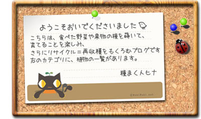 Welcome!!