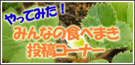 みんなの食べまき投稿コーナー