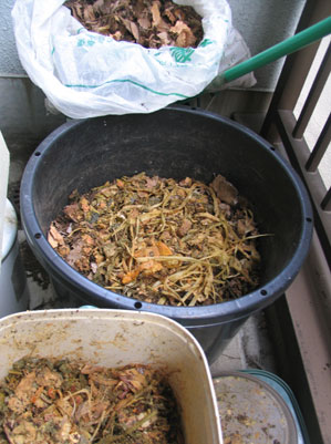 1 米ぬかで生ゴミ堆肥を作る 種はゴミじゃない キッチンから始めるリサイクル菜園