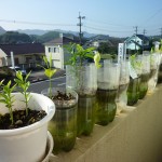 しゅーじさん宅のベランダの様子