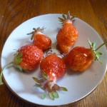 今朝の収穫、イチゴです！