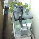 自作とは思えないほど立派です！すごい！