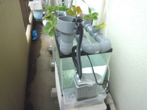 自作とは思えないほど立派です！すごい！