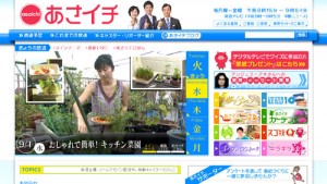 ＮＨＫあさイチ「おしゃれで簡単！キッチン菜園」