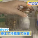 桃のタネを採種して、冷蔵庫に保存するまでを説明しました