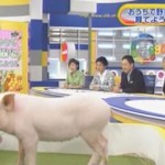 2010年9月1日放送　NHK「あさイチ」　おうちで野菜を育てよう！