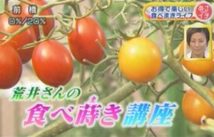 食べ蒔き講座―野菜編です