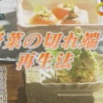 残り野菜を利用した、キッチン菜園を提案されている岡崎さん