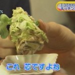 キャベツの芯だって、立派に再生できるんです！驚き！