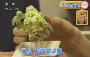 キャベツの芯だって、立派に再生できるんです！驚き！