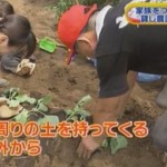 知識が無くても、プロの指導が受けられます