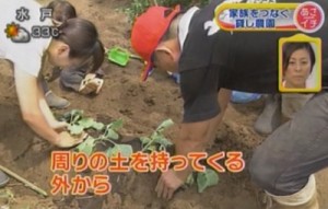 知識が無くても、プロの指導が受けられます