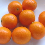 丸々とした大きな金柑、4センチちょいあります