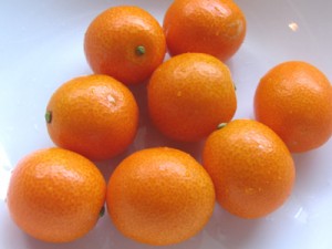 丸々とした大きな金柑、4センチちょいあります