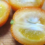 果実を半分に切ったところ