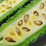 ゴーヤを半分に切ったところ、白いわたに包まれたタネが見えます