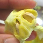 ゴーヤのワタの中には種がある