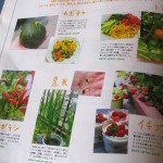 今まで育てた、野菜や果物の数々を紹介