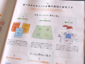食べまきのポイントも、簡単に紹介しております