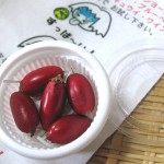 ミラクルフルーツ（アカテツ科フルクリコ属）