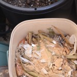 生ゴミ堆肥はじめました