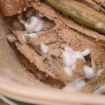 ふわふわの白カビ