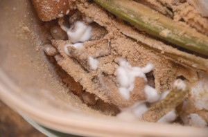 ふわふわの白カビ