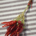 枝ごと乾燥したタカノツメ