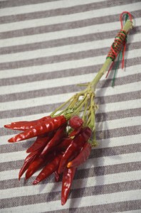 枝ごと乾燥したタカノツメ