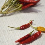 食べまき唐辛子を乾燥