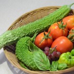 8月26日　収穫しました！