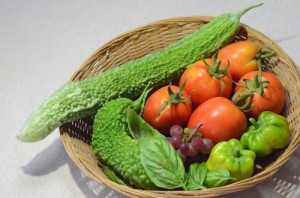 8月26日　収穫しました！