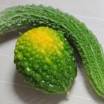 一緒に料理するのは、グリーンカーテンのゴーヤ