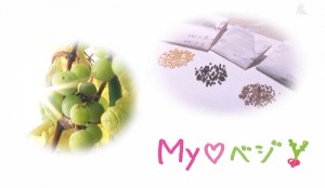 MYベジ「食べまき」