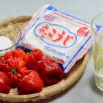 かんずり風調味料の材料