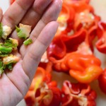 半分に切って、ヘタを取り除きます