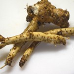 西洋わさびの収穫